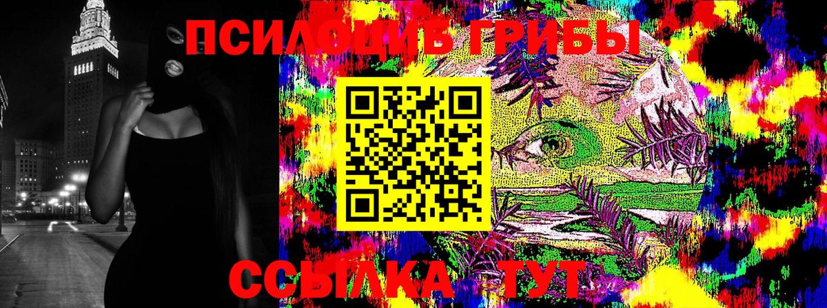 Вологда  Галлюциногенные грибы ЛСД  продажа наркотиков  Вход с VPN  Галлюциногенные грибы MAGIC MUSHROOMS 
